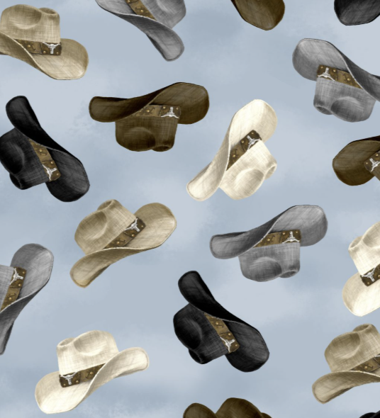 Cowboy Hat Toss Blue | Riders on the Range Collection by Danhui